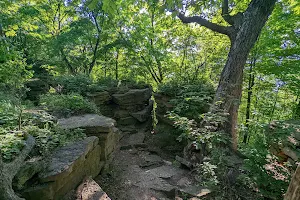 High Cliff Escarpment State Natural Area image