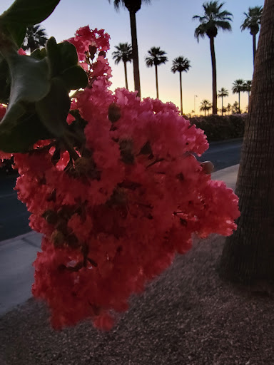 Golf Resort «Wigwam Golf Club», reviews and photos, 451 N Old Litchfield Rd, Litchfield Park, AZ 85340, USA