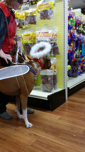 Pet Supply Store «Pet Supermarket», reviews and photos, 2924 13th St, St Cloud, FL 34769, USA