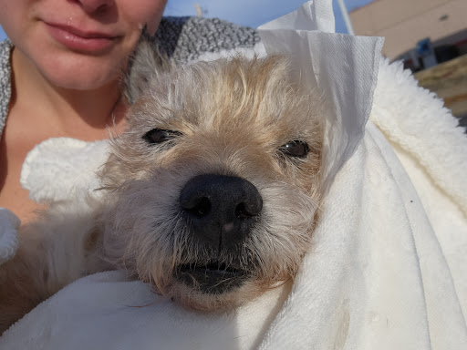 Taylor Animal Hospital of Parkville image