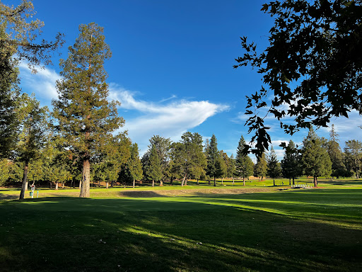 Blackberry Farm Recreation and Pool image