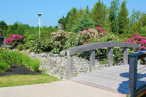 Town of Quispamsis Arts & Culture Park image