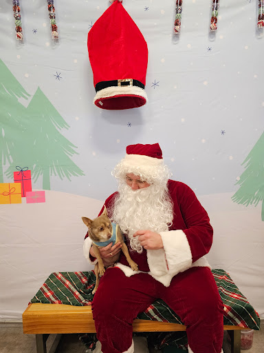 Petco image