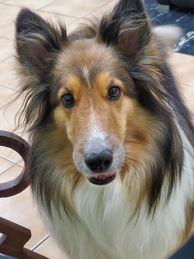 Barber Shop «Edgewood Barber Salon», reviews and photos, 2204 Pulaski Hwy, Edgewood, MD 21040, USA