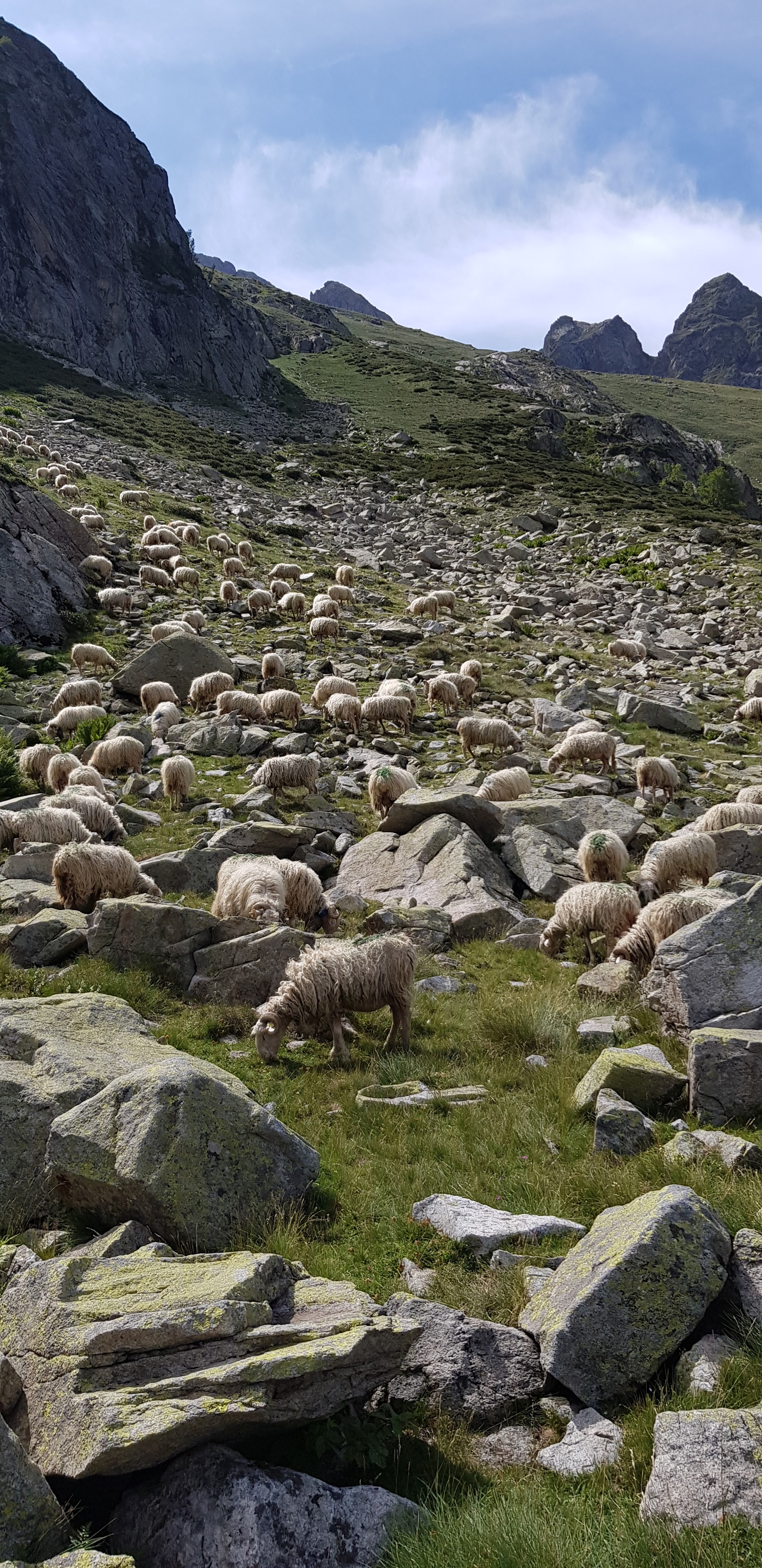 Photo n° 9 de l'avis de Amma.r fait le 16/08/2019 à 09:03