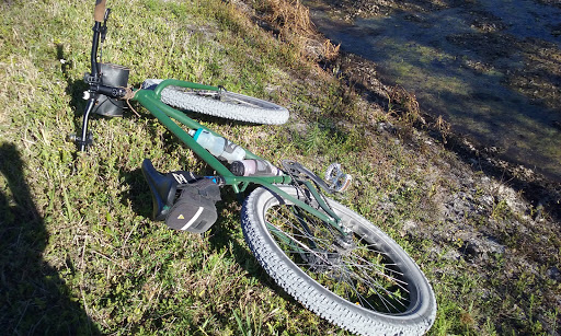 Nature Preserve «Grassy Waters Preserve», reviews and photos, 8264 Northlake Blvd, West Palm Beach, FL 33412, USA