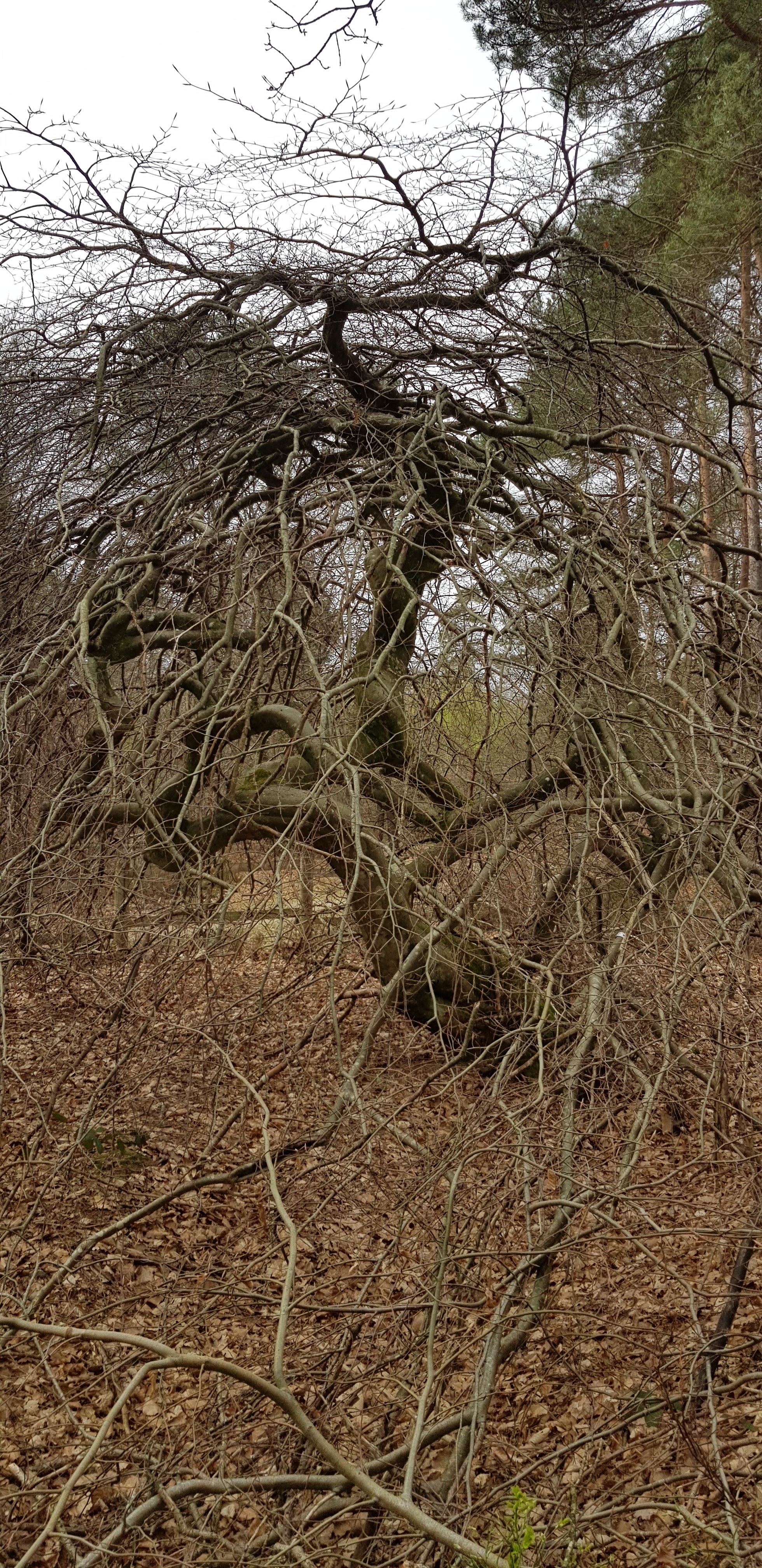Photo n° 2 de l'avis de Marlène.A fait le 17/04/2019 à 06:21