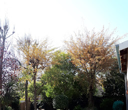 Primavera Guest House photo