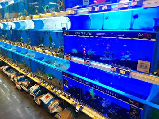 Pet Supply Store «PetSmart», reviews and photos, 2920 Little Rd, Trinity, FL 34655, USA