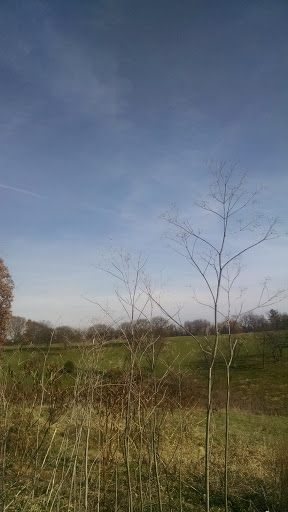 Golf Course «Mt. Lebanon Golf Course», reviews and photos, 1000 Pine Ave, Pittsburgh, PA 15234, USA