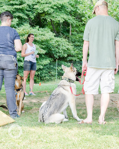 Dog Trainer «Mad 4 My Dog», reviews and photos, 702 E Temperance St, Ellettsville, IN 47429, USA