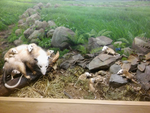 Science Museum «Museum of Science», reviews and photos, 1 Science Park, Boston, MA 02114, USA