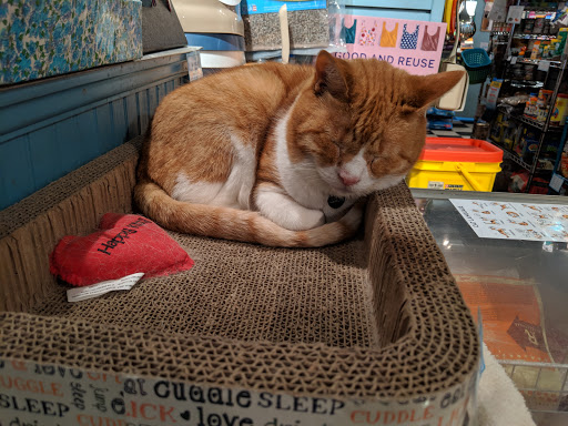 Pet Store «Fairmount Pet Shoppe», reviews and photos, 2024 Fairmount Ave, Philadelphia, PA 19130, USA