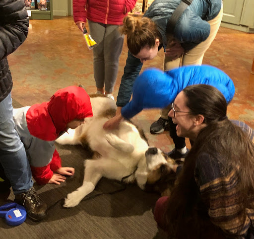 Pet Supply Store «Green Dog Pet Supply», reviews and photos, 4327 NE Fremont St, Portland, OR 97213, USA