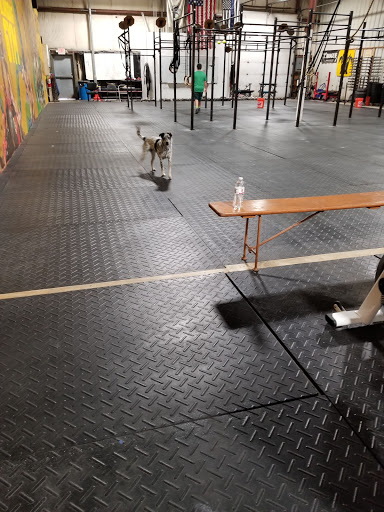 Gym «Blind Dog Gym», reviews and photos, 7450 Industrial Pkwy Dr, Lorain, OH 44053, USA