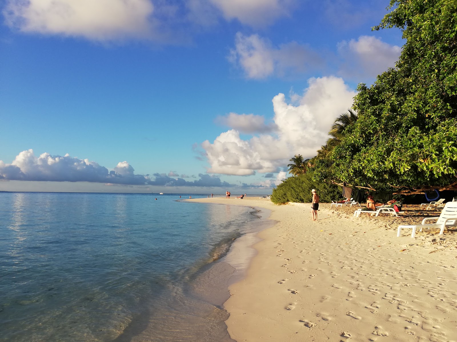 Biyadhoo Island Resort'in fotoğrafı ve yerleşim