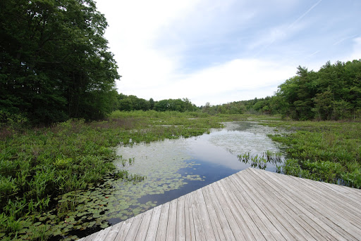 Mass Audubon's Broadmoor Wildlife Sanctuary, 280 Eliot St, Natick, MA 01760