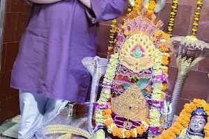 Baba Amarnath Mandir Ghazipur image