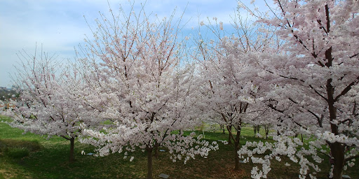 Museum «The George Washington Masonic National Memorial», reviews and photos, 101 Callahan Dr, Alexandria, VA 22301, USA