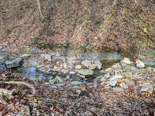 Nature Preserve «Caldwell Nature Center», reviews and photos, 430 W North Bend Rd, Cincinnati, OH 45216, USA