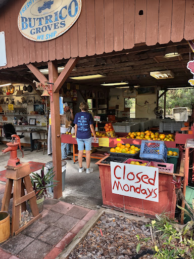 Farm «Butrico Groves Orange Grove», reviews and photos, 6065 Magnolia St, Mims, FL 32754, USA