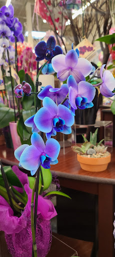 Grocery Store «Albertsons», reviews and photos, 1800 W Whittier Blvd, La Habra, CA 90631, USA