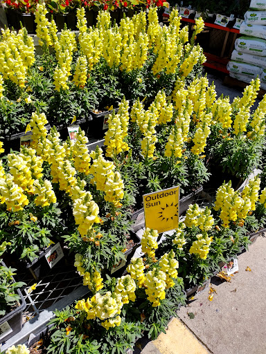 Home Improvement Store «The Home Depot», reviews and photos, 3355 Cobb Pkwy N, Acworth, GA 30101, USA