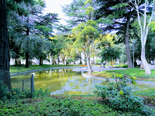 Jardim de João Chagas