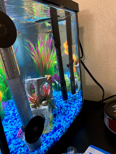 Pet Supply Store «PetSmart», reviews and photos, 11833 Dallas Pkwy, Frisco, TX 75033, USA