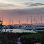 Photo n° 2 de l'avis de Elise.c fait le 02/08/2020 à 19:43 pour L'Orangeraie à Hyères