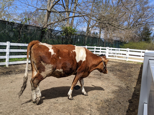 Zoo «Cosley Zoo», reviews and photos, 1356 N Gary Ave, Wheaton, IL 60187, USA