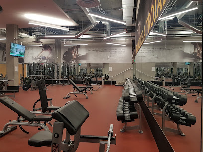 USC Village Fitness Center