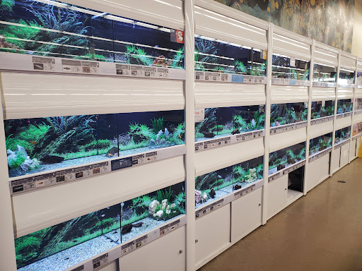 Pet Supply Store «Petco Animal Supplies», reviews and photos, 2140 E Blvd St, Kokomo, IN 46902, USA