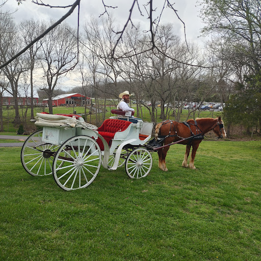 Winery «Sassafras Springs Vineyard and Winery», reviews and photos, 6461 E Guy Terry Rd, Springdale, AR 72764, USA