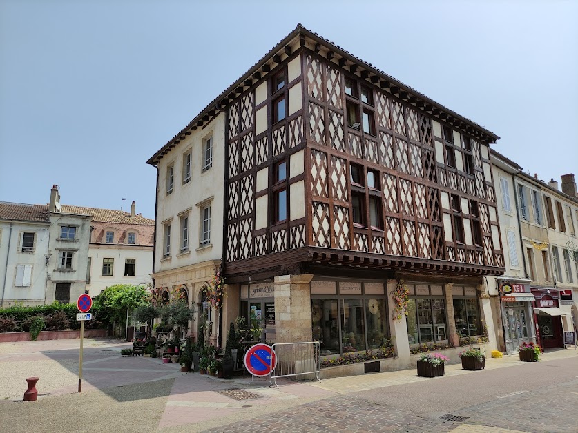 Cabinet Patrice Ryaux - immobilier à Tournus à Tournus (Saône-et-Loire 71)