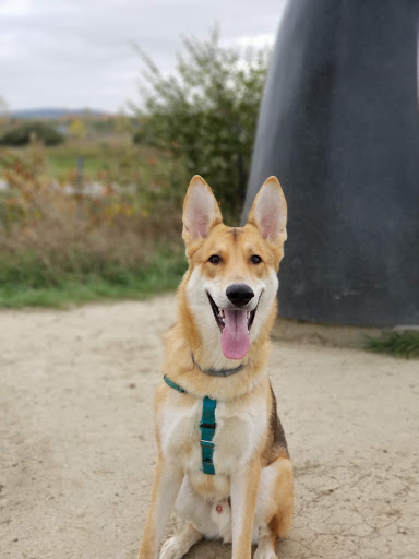 Monument «Reverence (Whales Tails)», reviews and photos, I-89, South Burlington, VT 05403, USA