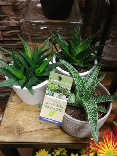 Supermarket «Kings Food Markets», reviews and photos, 85 Godwin Ave, Midland Park, NJ 07432, USA