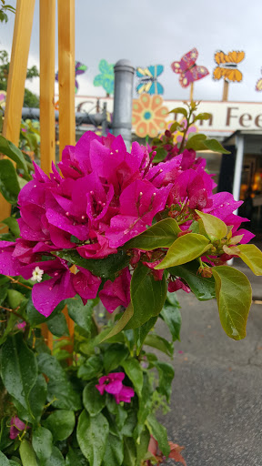 Garden Center «Chesterton Feed & Garden Center», reviews and photos, 400 Locust St, Chesterton, IN 46304, USA