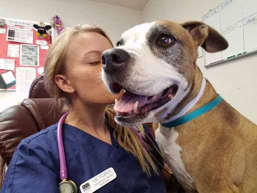 Palo Verde Animal Hospital