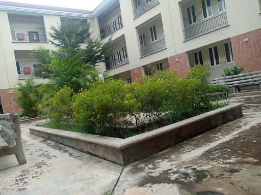 Edo University, Iyamho, Nigeria, School, state Niger