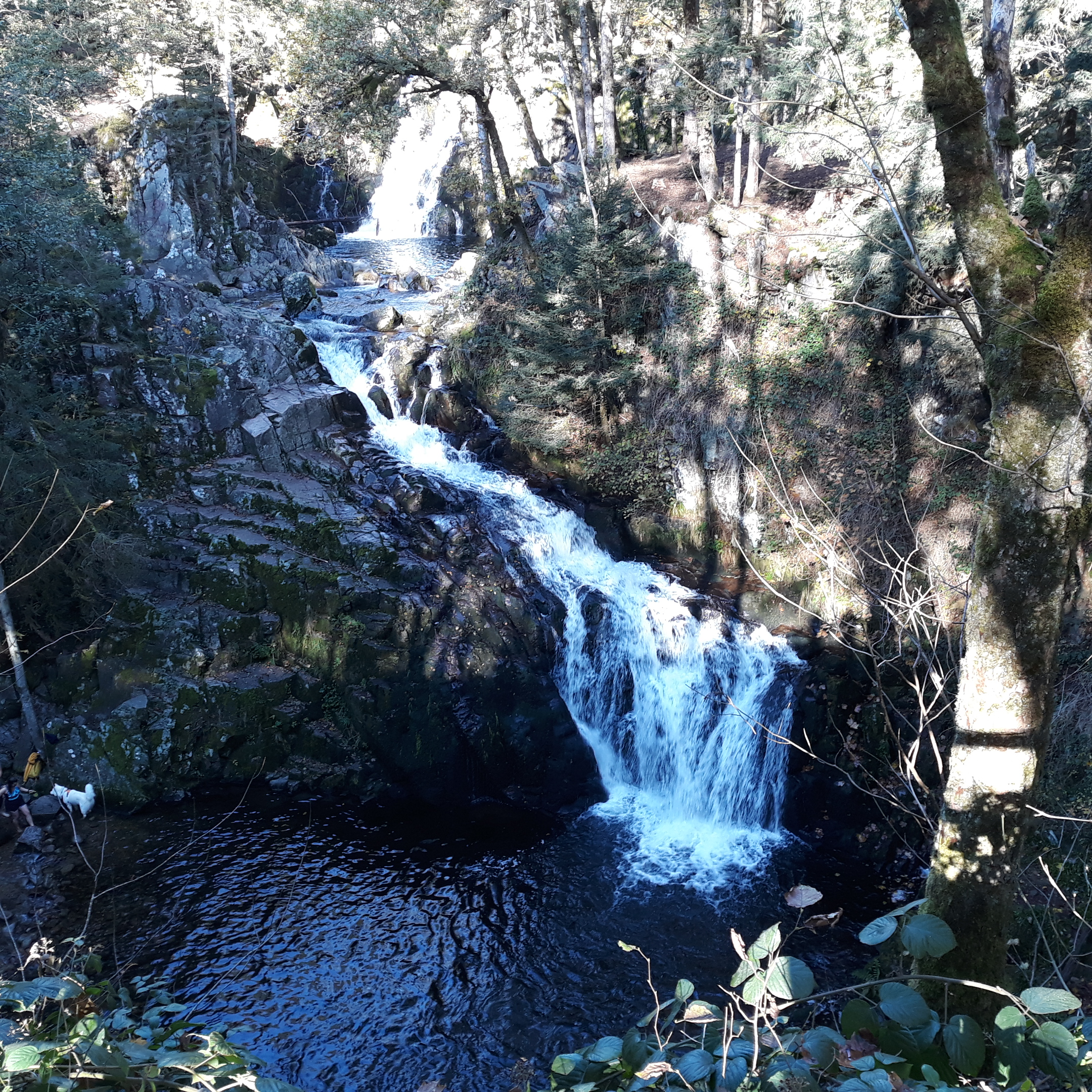 Photo n° 6 de l'avis de Ben. fait le 28/10/2021 à 14:22