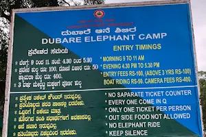 Booking Office of Coorg Dubare Elephant camp image