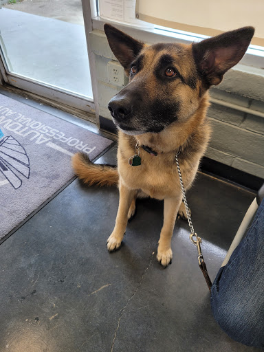 Auto Repair Shop «Bud Adams Auto Repair», reviews and photos, 18811 Lake Chabot Rd, Castro Valley, CA 94546, USA