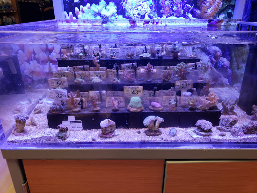 Pet Supply Store «Petco Animal Supplies», reviews and photos, 860 Broadway, New York, NY 10003, USA