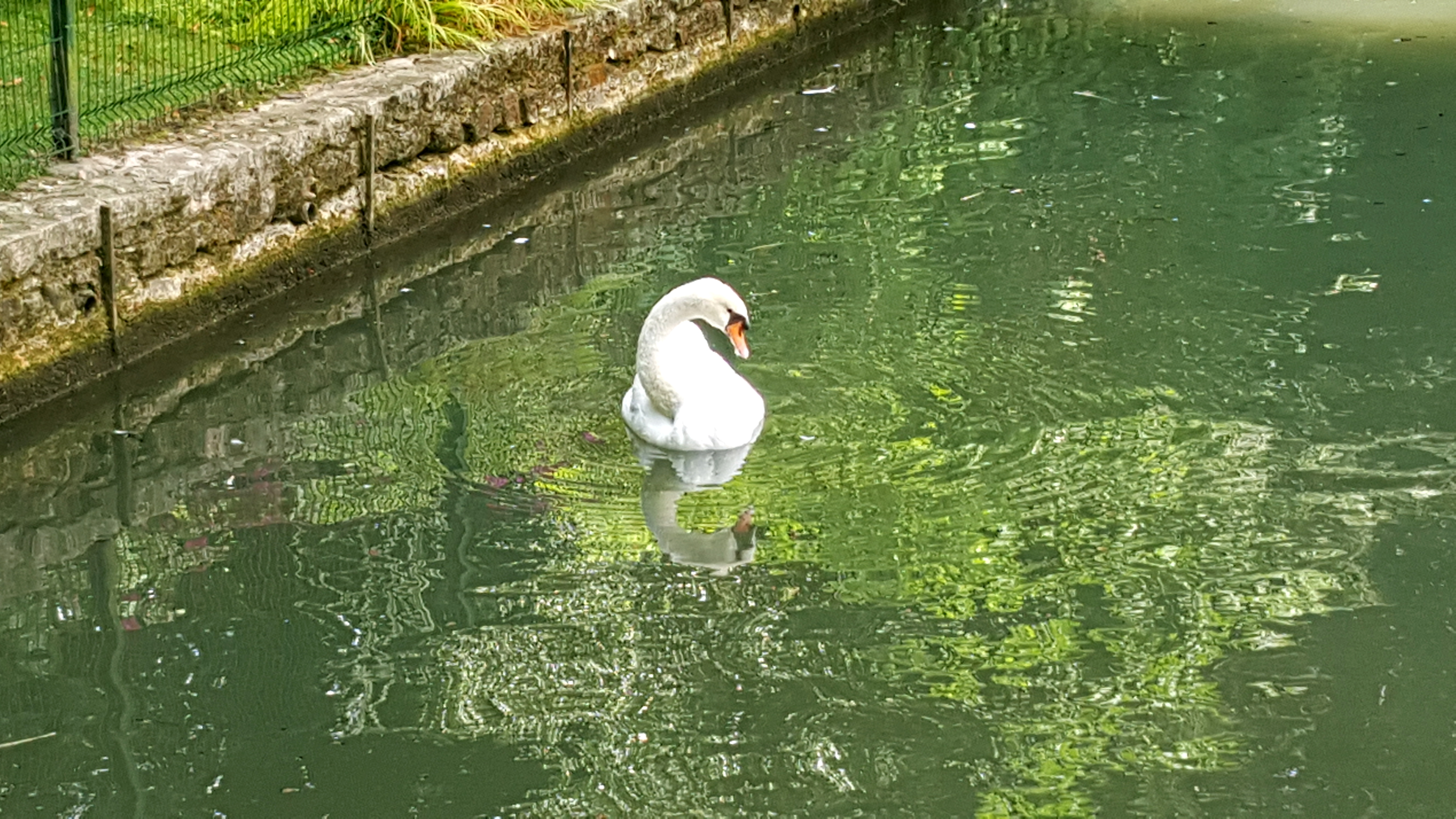 Photo n° 2 de l'avis de Verdoyant. fait le 30/08/2018 à 11:37