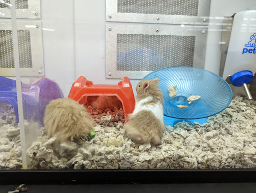 Pet Supply Store «Petco Animal Supplies», reviews and photos, 4475 SW 40th Ave, Ocala, FL 34474, USA