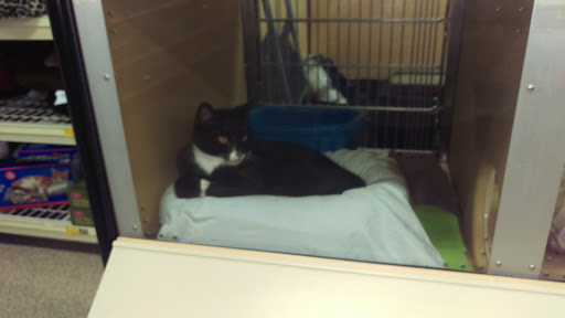 Pet Supply Store «PetSmart», reviews and photos, 4180 US-1, Monmouth Junction, NJ 08852, USA