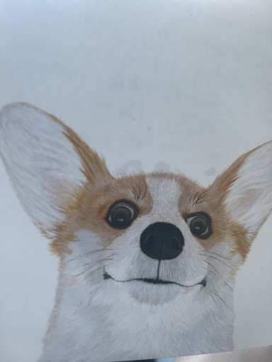 Monte Vista Small Animal Hospital image