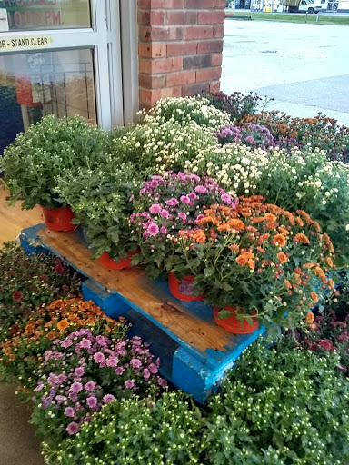 Grocery Store «IGA Foodliner», reviews and photos, 524 N High St, Rising Sun, IN 47040, USA