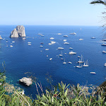 Photo n°2 de l'avis de John.e fait le 08/08/2022 à 12:19 sur le  Ristorante Il Geranio Capri à Capri